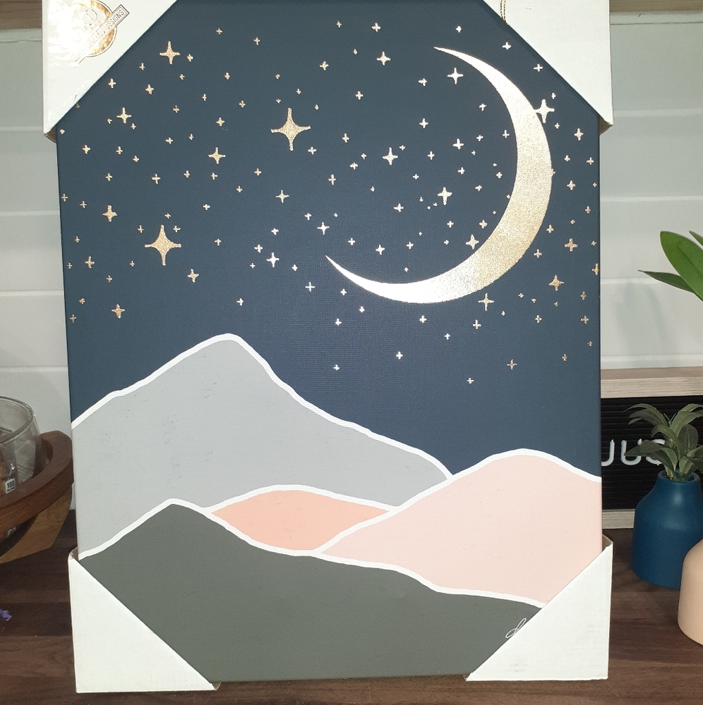 Boutique Style Canvas Wall Art 18x14
